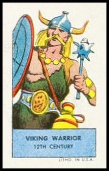 49SN Viking Warrior.jpg